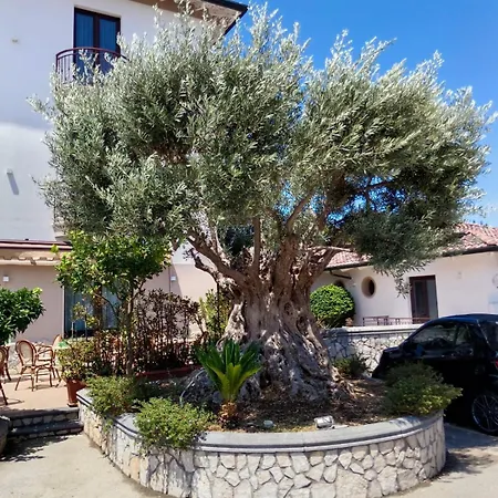 La Fayette Licola Monterusciello